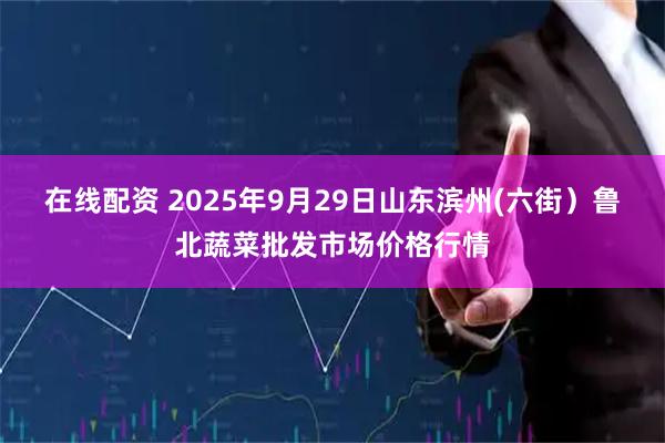 在线配资 2025年9月29日山东滨州(六街）鲁北蔬菜批发市场价格行情
