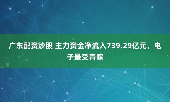 广东配资炒股 主力资金净流入739.29亿元,电子最受青睐